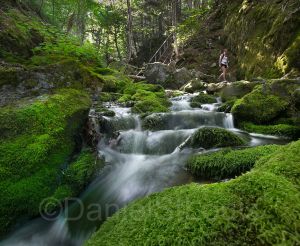 Third Vault Falls in Fundy National Park.