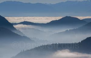 Rockies in Malaha BC.