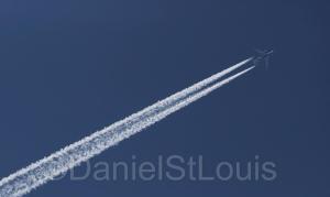 Late morning flight in the blue sky.