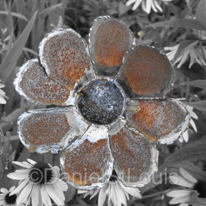 Steel art flower pedals.
