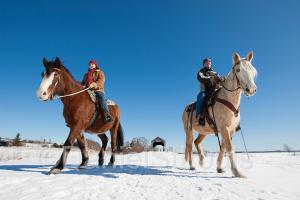 Horse back riding in New Brunswick