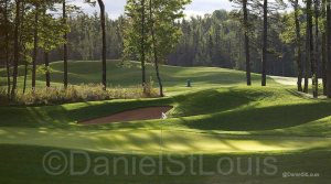 fox creek golf club moncton nb