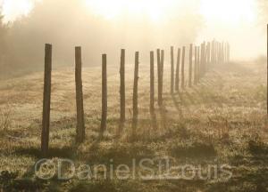 Foggy September morning fence.