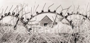 Iron in field in little shemogue nb.